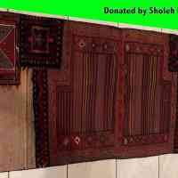 aiding-donated-sholeh-dolatabadi